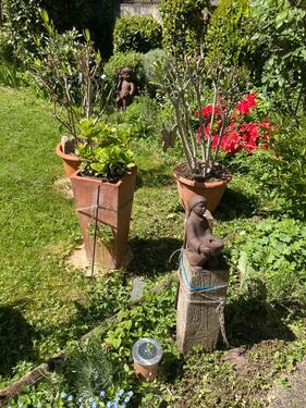 Foto - Erdgeschoßwohnung in Mönchengladbach zur Miete
