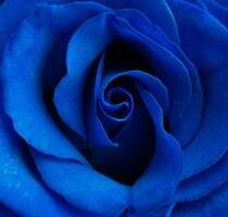 Wohnung in Waldkraiburg zu verkaufen-zentrale Lage, Hunde erlaubt