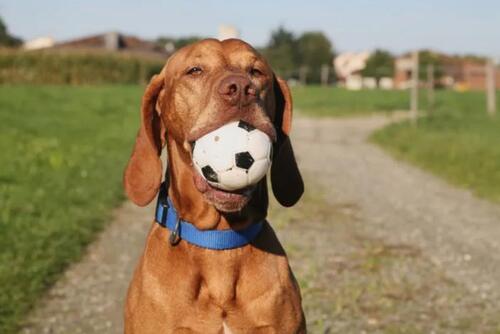 Foto - Preiswerte Mietkaufimmobilie abzugeben. Altschulden kein Hindernis.