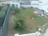 Foto - 5 Zimmer Reihenhaus zum Kaufen in Eschweiler