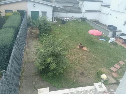 Foto - 5 Zimmer Reihenhaus zum Kaufen in Eschweiler