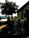 Foto - Ferienwohnung -- Haus der Weinkönigin Kristina PIESPORT, MOSEL