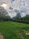 Foto - Einfamilienhaus zum Kaufen in Burg Stargard