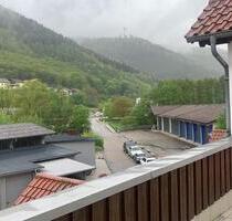 Schöne neu sanierte 2 Zimmer Wohnung mit neuer Einbauküche - Bad Wildbad
