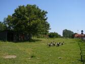 Foto - Einfamilienhaus in Malchin