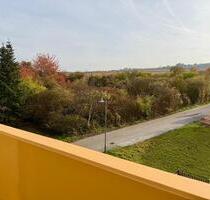 4 Zimmer-Dachgeschoss Wohnung in unverbauter Feldrandlage - Ingelheim am Rhein