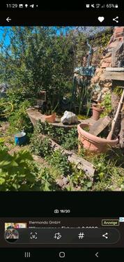 Foto - Einfamilienhaus in Möckern zum Kaufen