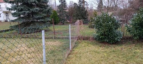 Foto - Einfamilienhaus in Belgern-Schildau zum Kaufen