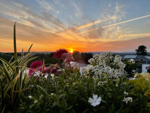 Foto - modernes Penthouse mit großzügiger Terrasse in Bovenden