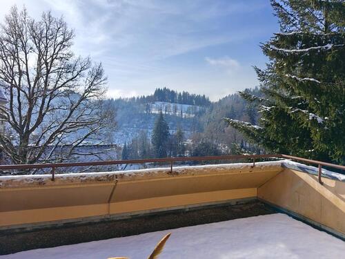 Foto - 1 Zimmer Terrassenwohnung zur Miete in Schönau im Schwarzwald