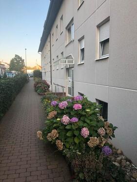 Foto - 3 Zimmer Dachgeschoßwohnung in Langen (Hessen)