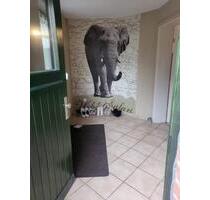 Schöne helle Wohnung in Salzkotten-Niederntudorf