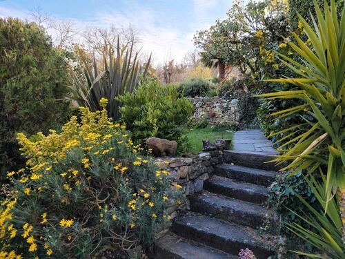 Foto - andere in Freiburg im Breisgau