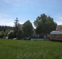 Ehemaliger Bauernhof ,Scheune, ,Carports,Garagen.1400 Grundstück. - Dentlein am Forst