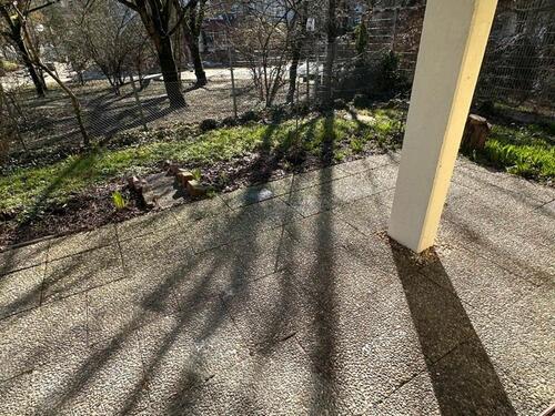 Foto - 3 Zimmer Erdgeschoßwohnung in Karlsruhe