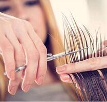 Alteingesessener Friseurbetrieb - Sauensiek