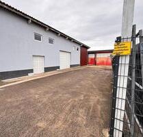 Lagerhalle mit Freifläche Haßloch 67454