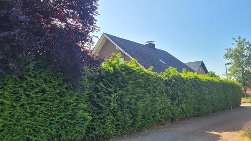 Foto - 7 Zimmer Einfamilienhaus in Ahaus