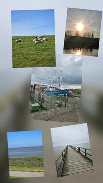 Foto - 2026:Ferienhaus Burhave Nordsee, 3SZ, 2 Bäder, ebenerdig, Hunde