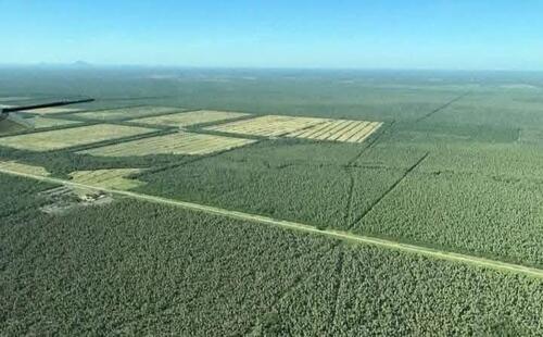 Foto - Investitionsoase im Herzen Südamerikas: 12500 Ha.