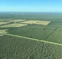 Investitionsoase im Herzen Südamerikas: 12500 Ha. - Germering