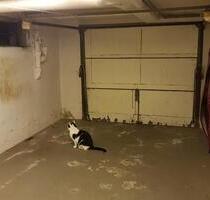 Garage im UG von Privathaus in Blankenlochm ab Februar - Stutensee