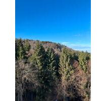 3-Zimmer Wohnung ✅ mit Balkon & Tiefgaragenstellplatz - Immenstadt im Allgäu