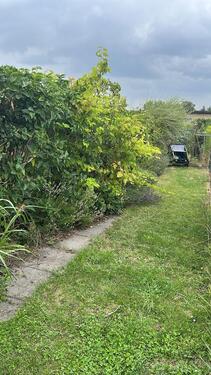 Foto - Grundstück in Leipzig