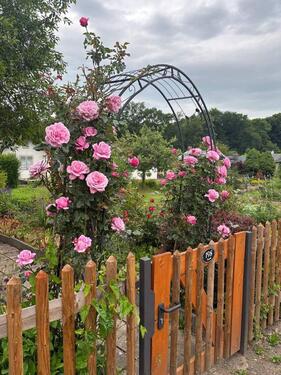 Foto - Kleingartenparzelle 270m² in Leipzig Leutzsch