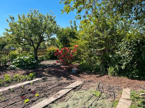 Foto - Grundstück in Leipzig