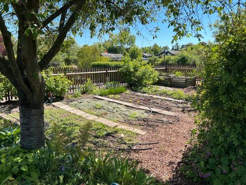 Foto - Grundstück in Leipzig zur Miete