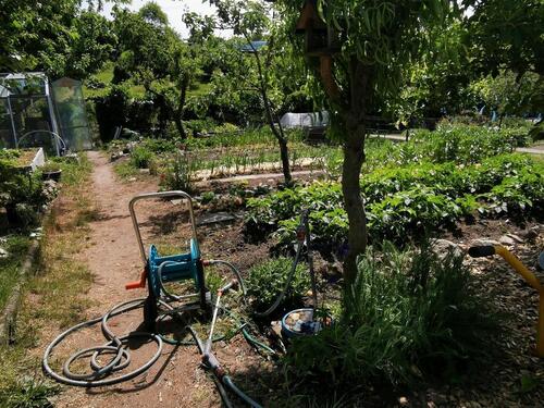 Foto - Grundstück in Schwerin