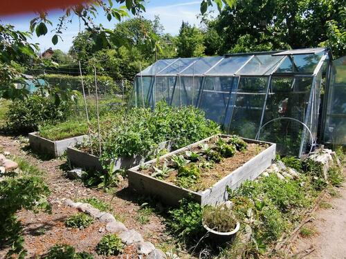 Foto - Grundstück in Schwerin zur Miete