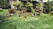 Foto - Ladenlokal mit eigener Gartennutzung