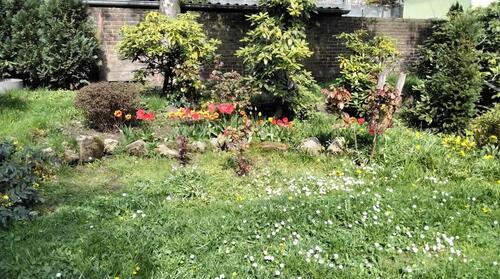 Foto - Ladenlokal mit eigener Gartennutzung