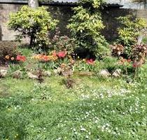 Ladenlokal mit eigener Gartennutzung - Oer-Erkenschwick