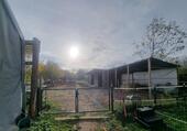 Foto - Einfamilienhaus mit Pferdeparadies