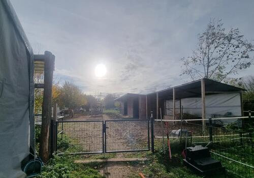 Foto - Einfamilienhaus mit Pferdeparadies