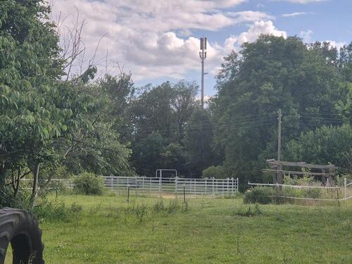 Foto - Einfamilienhaus zum Kaufen in Seelow