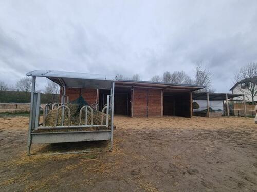 Foto - Einfamilienhaus in Seelow