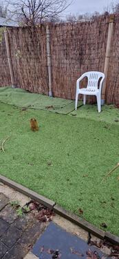 Foto - Grundstück in Pirna zur Miete