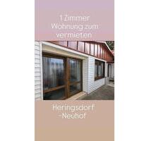 1 Zimmer Wohnung in Heringsdorf -Neuhof zum vermieten