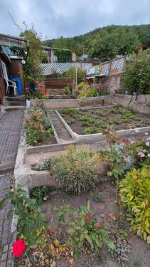 Foto - Grundstück in Freital