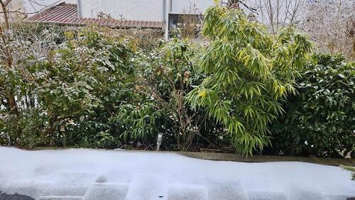 Foto - Schöne 2-Zi- Terrassenwohn.mGartenanteil in Straubing Süd