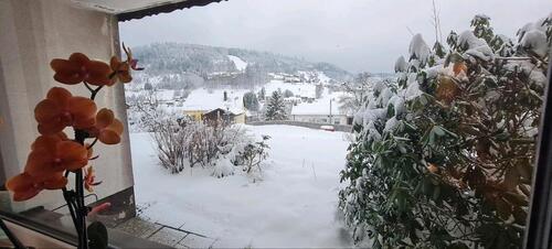Foto - Erdgeschoßwohnung in Warmensteinach zur Miete