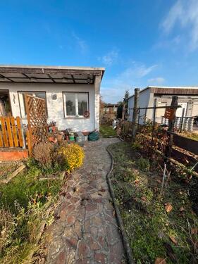 Foto - Pachtgarten in Torgau abzugeben