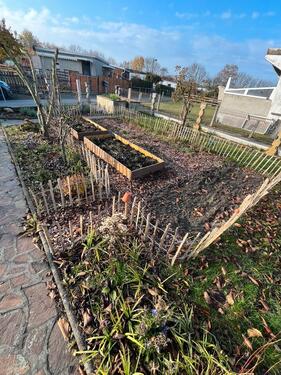 Foto - Grundst&uuml;ck in Torgau zur Miete