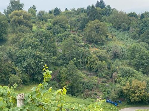 Foto - Grundst&uuml;ck in Backnang zur Miete