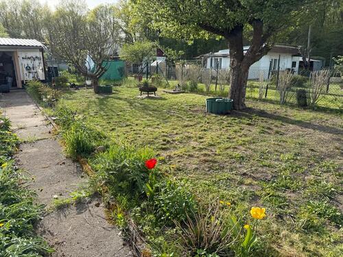 Foto - Grundst&uuml;ck in Eisenhüttenstadt zur Miete