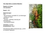 Foto - Einfamilienhaus in Haßmersheim